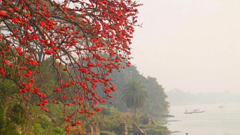 ফাগুনের প্রথম দিন ও ভালোবাসা দিবস আজ