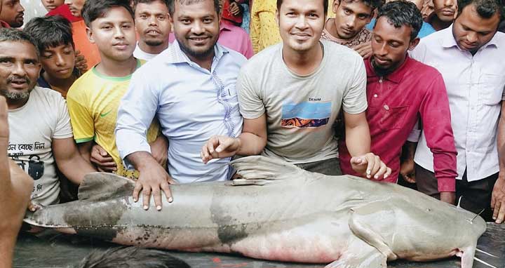 ৫০ কেজির বাগাড়ের সঙ্গে নদীর তলদেশ থেকে উঠে এল মরদেহ