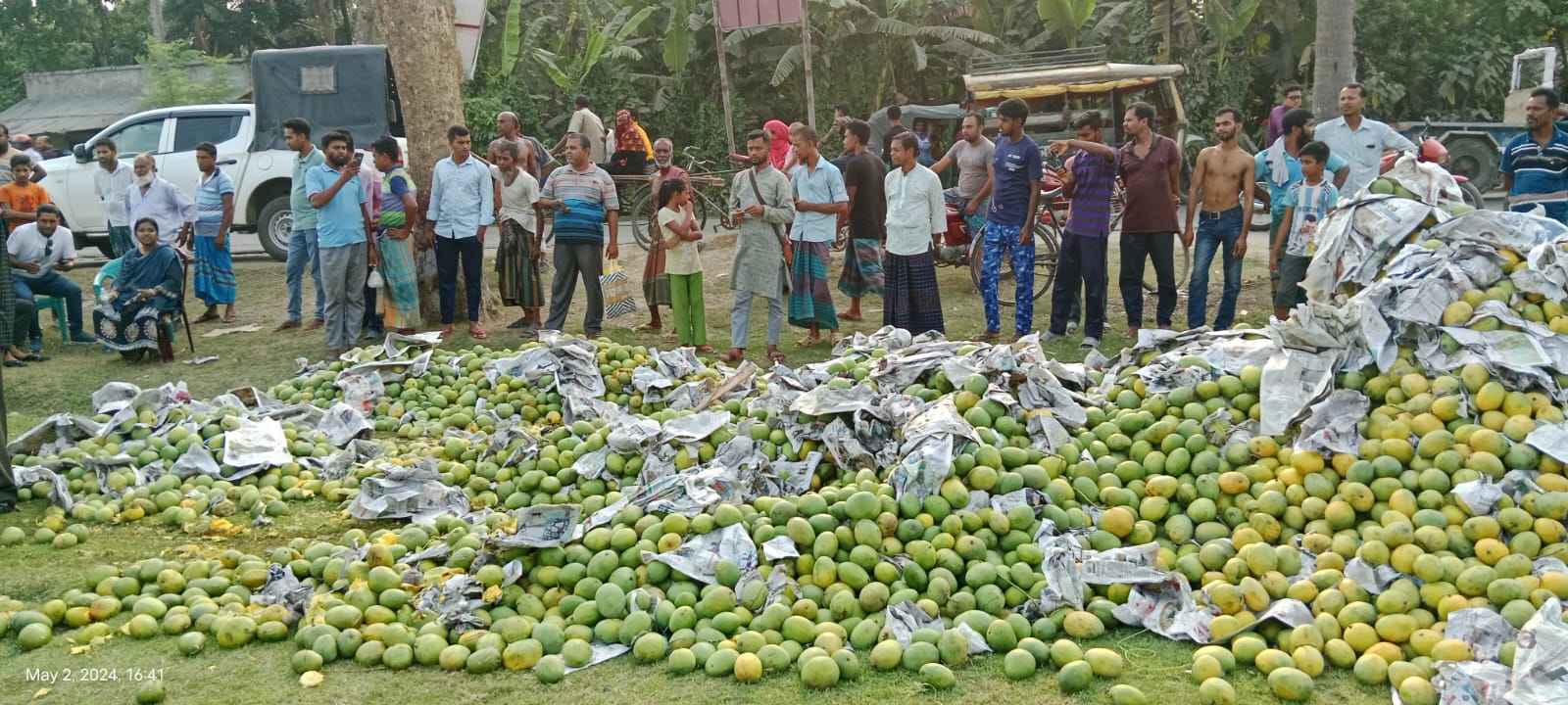 সাতক্ষীরায় ১০ হাজার কেজি ক্যামিকেল মিশ্রিত আম জব্দ, জরিমানা আদায়