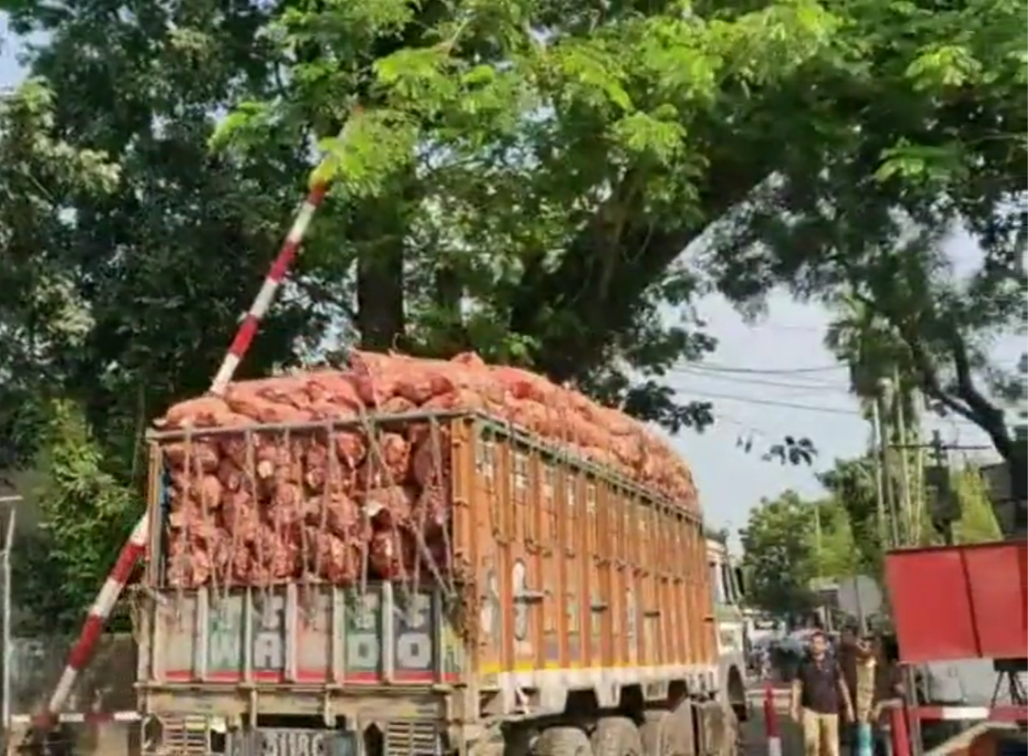 দিনাজপুরের হিলি স্থলবন্দর দিয়ে ১০ হাজার টন পেঁয়াজ আমদানির অনুমতি