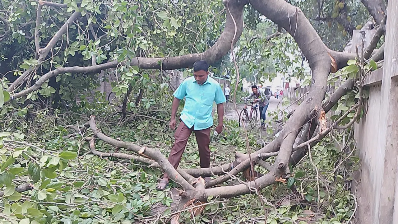 পাঁচ মিনিটের ঝড়ে লন্ডভন্ড দিনাজপুর