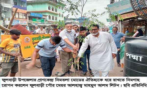 ফুলবাড়ীতে নিমতলা মোড়ের ঐতিহ্য ধরে রাখতে নিম গাছ রোপন