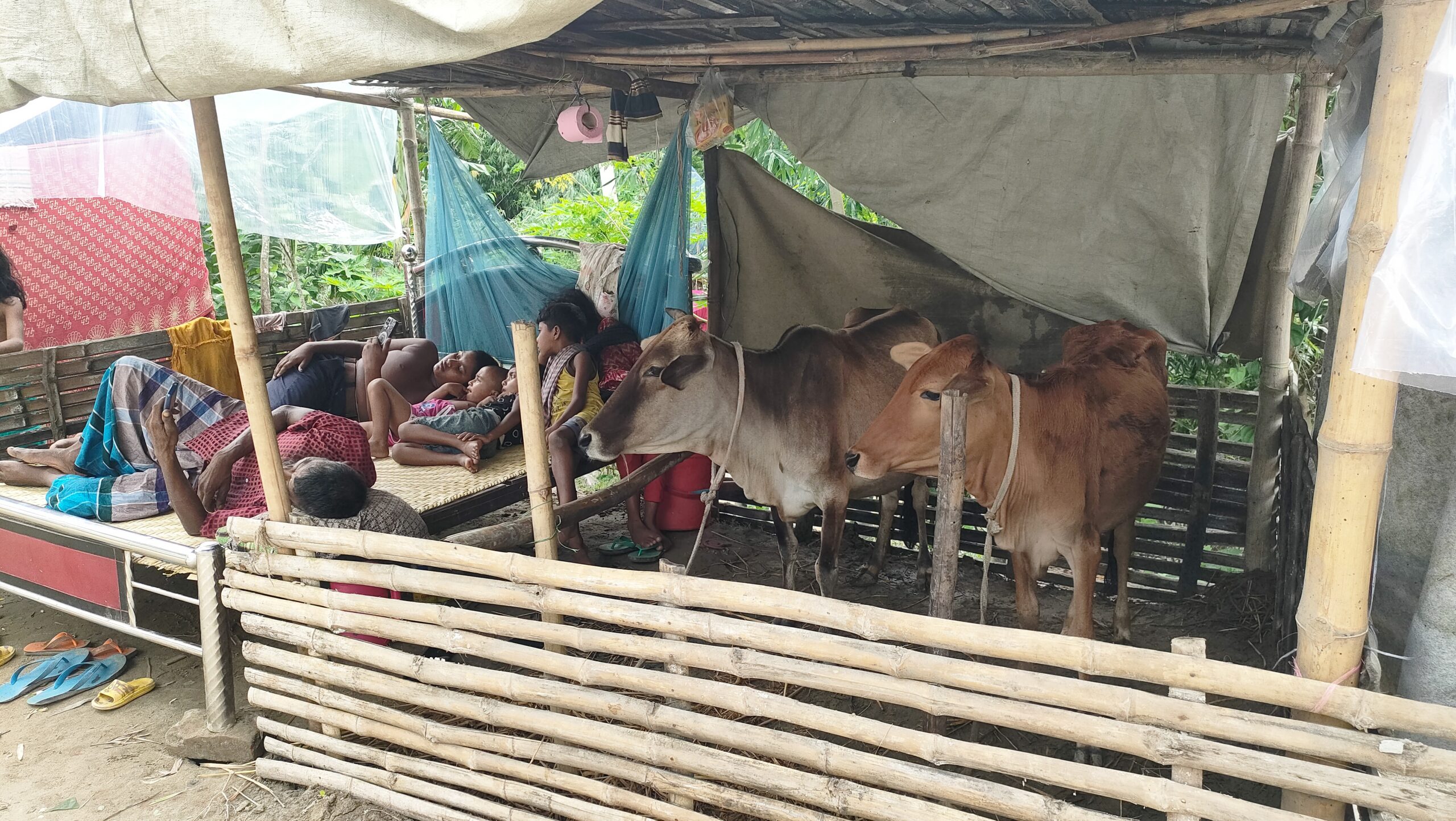 বানের পানি ঘরোত উঠছে বাবা থাকার জায়গা নাই।