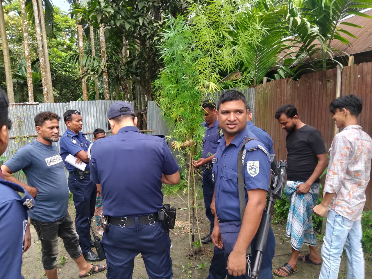 রাজারহাটে ব্রাকের মোড়ে ৩টি অচেনা গাছ উদ্ধার করেন রাজারহাট থানা পুলিশ