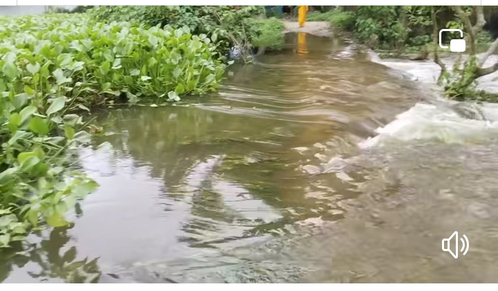 মৌলভীবাজারে বন্যা কবলিতদের উদ্ধার ও খাদ্য সহায়তা অব্যাহত রেখেছে বিজিবি