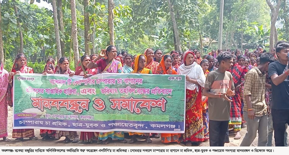 বকেয়া মজুরির দাবিতে অনির্দিষ্টকালের কর্মবিরতিতে ন্যাশনাল টি কোম্পানির শ্রমিকরা