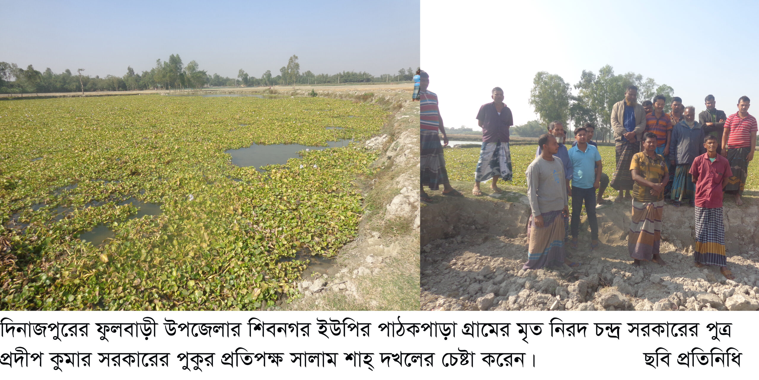 ফুলবাড়ীর পাঠকপাড়া গ্রামে প্রতিপক্ষদের পুকুর দখলের চেষ্টা ॥