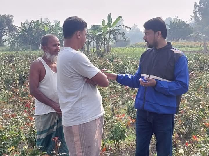 বানিজ্যিকভাবে ফুল চাষ করে স্বাবলম্বী বাবা ও দুই ছেলে 