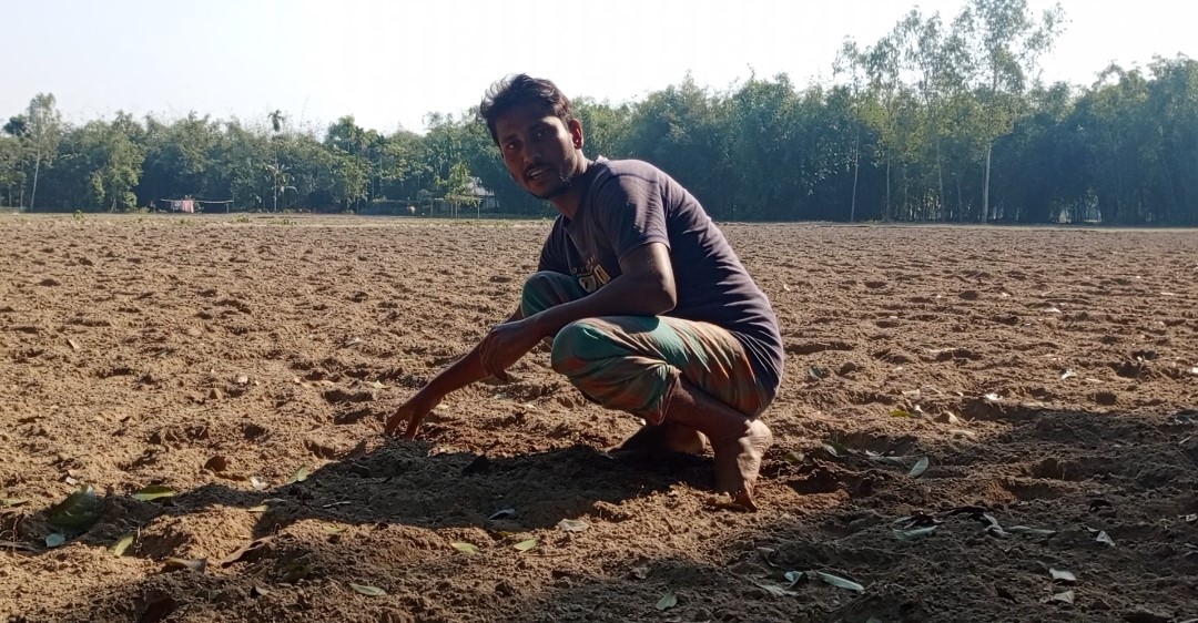 কৃষকের কাঁন্না বিজেতা সীডস কোম্পানীর ভূট্রার বীজ কিনে লালমনিরহাটের  কৃষকরা প্রতারিত ডিলার লাপাত্তা