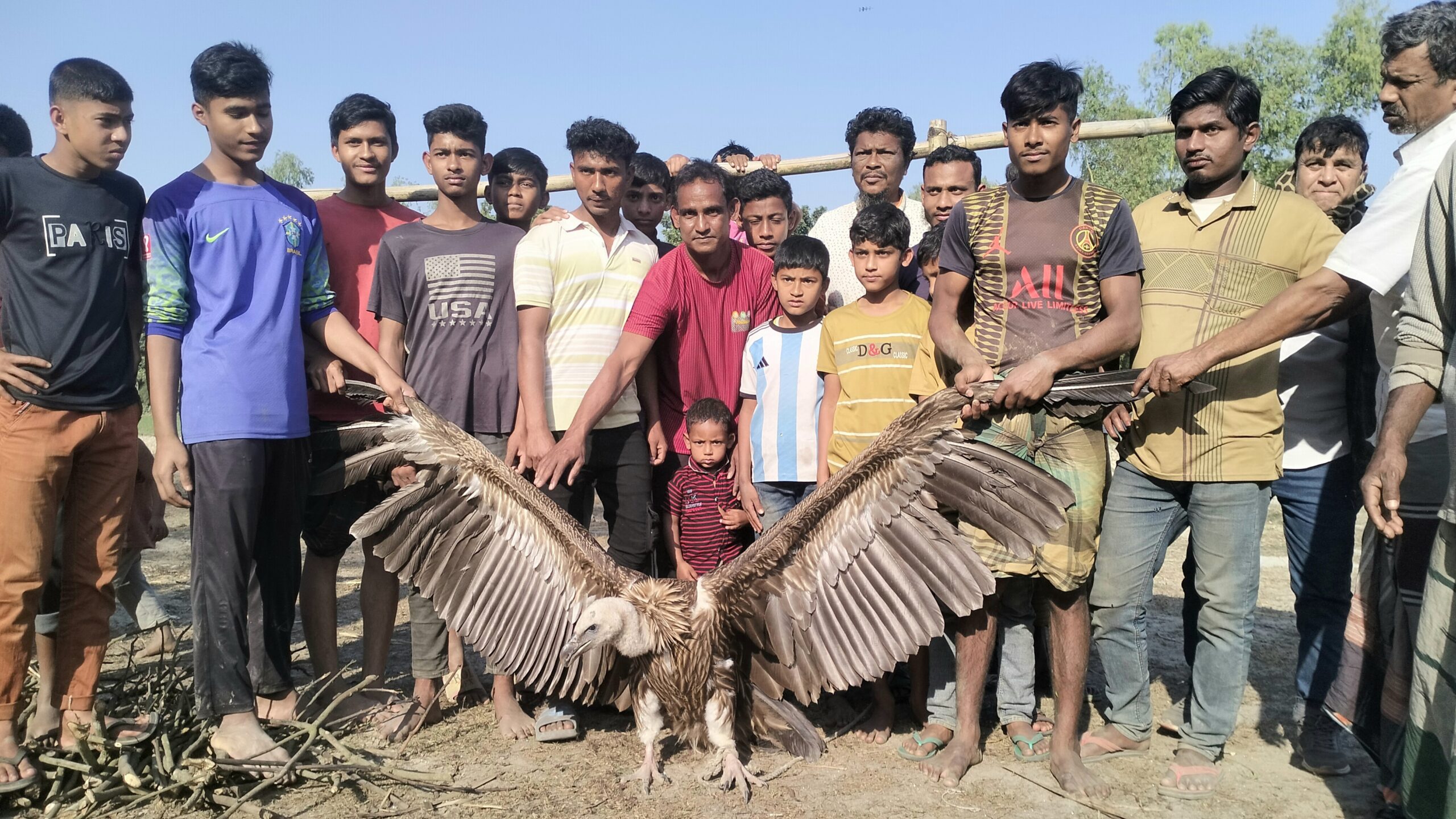 ফুলবাড়ীতে শকুন দেখতে উৎসুক জনতার ভীড় 