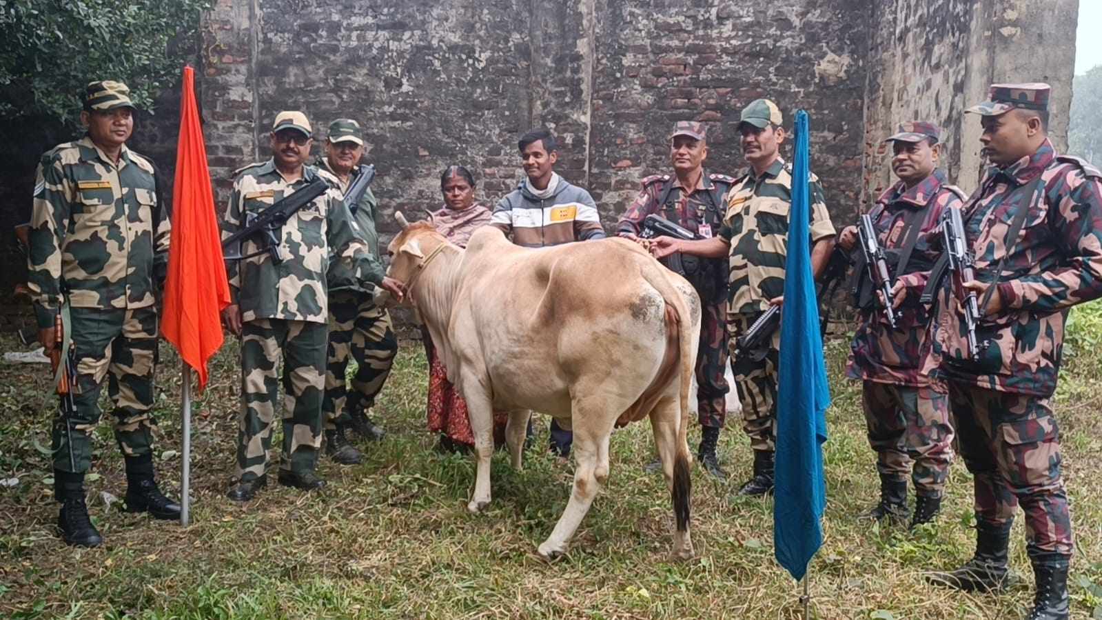 হিলি সীমান্তে পতাকা বৈঠকে ভারতীয় গরু হস্তান্তর