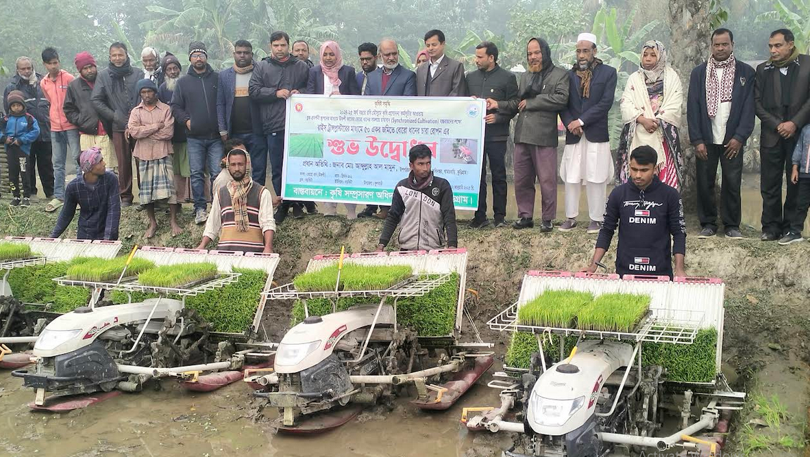 ফুলবাড়ীতে রাইস ট্রান্সপ্লান্টারের মাধ্যমে বোরো ধানের চারা রোপন