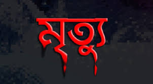 পীরগঞ্জে দুই মোটরসাইকেলের মুখোমু‌খী সংঘর্ষে নিহত-২