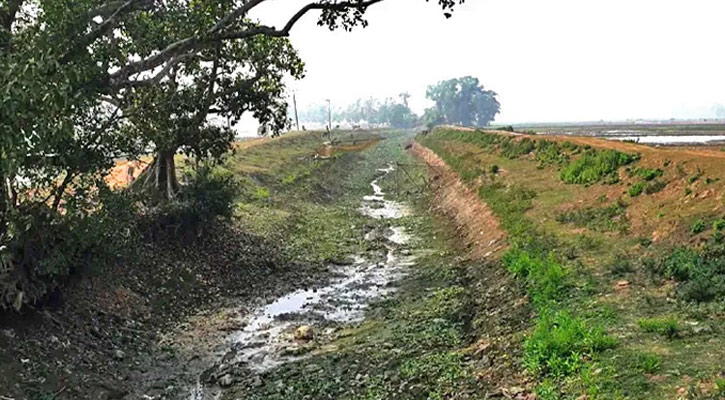 মৌলভীবাজারে পানির অভাবে বোরোর আবাদ ব্যাহত, শুকিয়ে গেছে ছড়া