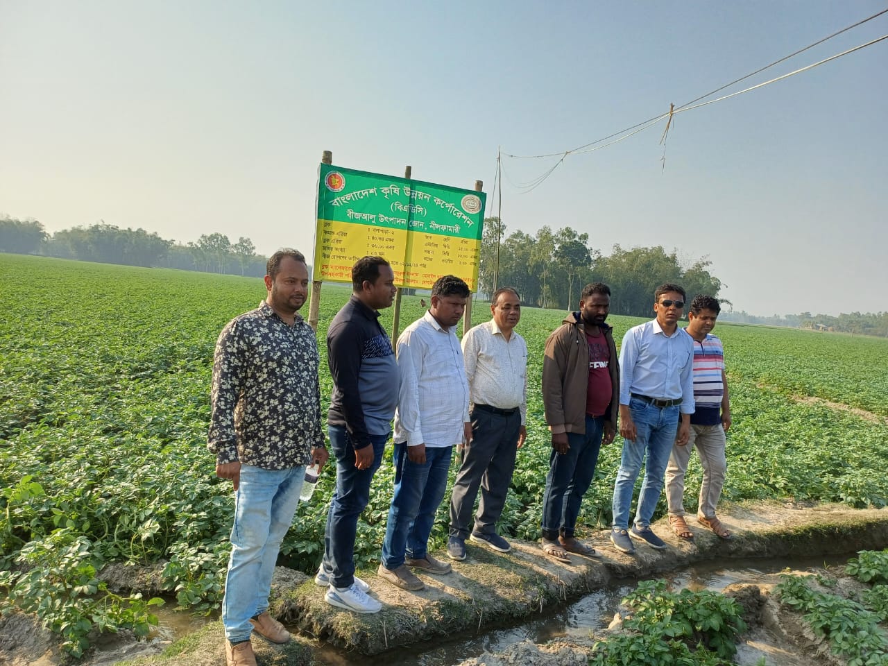 ডোমার বিএডিসিতে বীজ আলু উৎপাদনে চুক্তিবদ্ধ চাষিদের কাজে লাগিয়ে চমক সৃষ্টি করেছেন উপপরিচালক আবু তালেব মিঞা