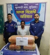 ফুলবাড়ীতে ২০ কেজি গাঁজাসহ মাদক কারবারি গ্রেপ্তার