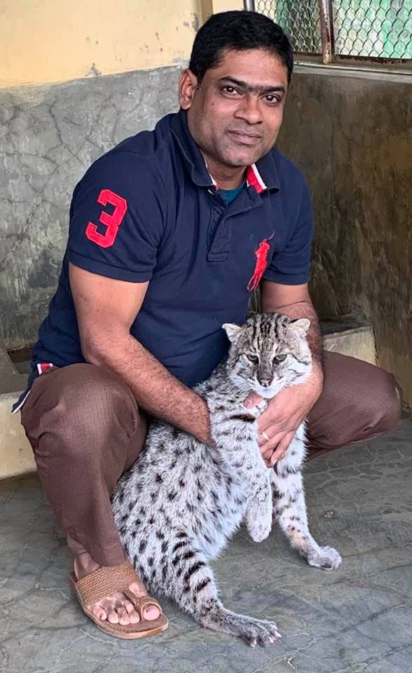 ১২ বছরে ৬৫৮ বন্যপ্রাণী বনে ফিরিয়ে দিয়েছে বন্যপ্রাণী সেবা ফাউন্ডেশন ১২ বছরে ৬৫৮ বন্যপ্রাণী বনে ফিরিয়ে দিয়েছে বন্যপ্রাণী সেবা ফাউন্ডেশন