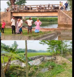 উলিপুরে ব্রীজের পানি প্রবাহের পথ বন্ধ করে দিয়ে মাটি ভরাটের অভিযোগ