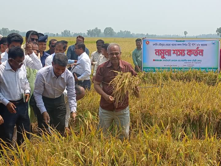 আমাদের সীমান্ত সম্পূর্ণ নিরাপদ: স্বরাষ্ট্র উপদেষ্টা আমাদের সীমান্ত সম্পূর্ণ নিরাপদ: স্বরাষ্ট্র উপদেষ্টা