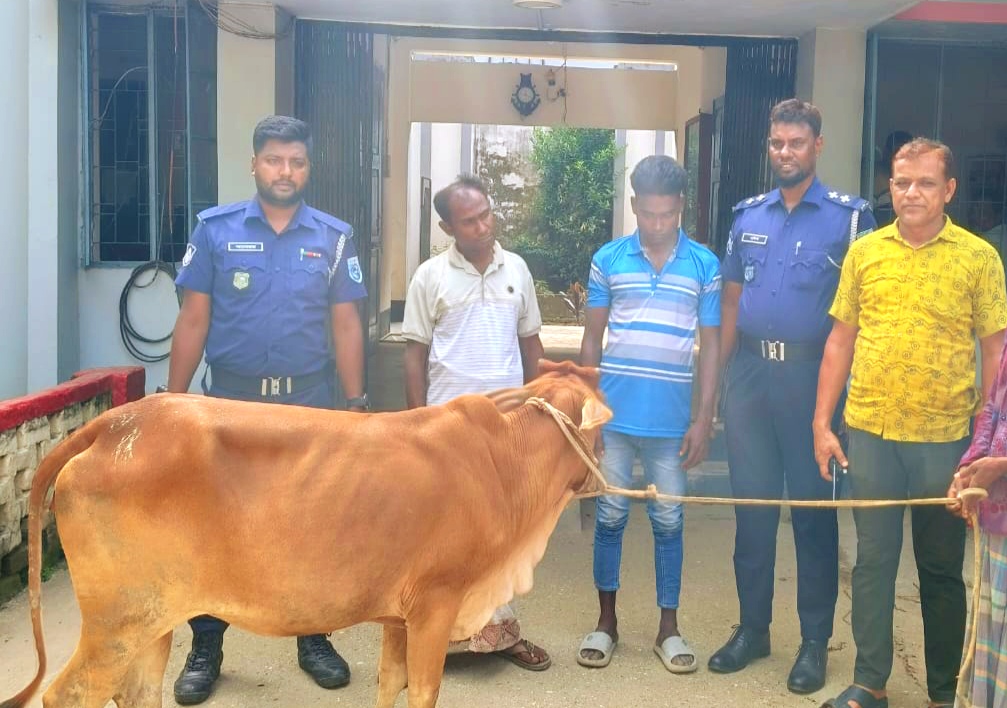 ঘোড়াঘাটে বহনকারী ট্রাক চালক ধরিয়ে দিলো গরুসহ ২ চোরকে ঘোড়াঘাটে বহনকারী ট্রাক চালক ধরিয়ে দিলো গরুসহ ২ চোরকে
