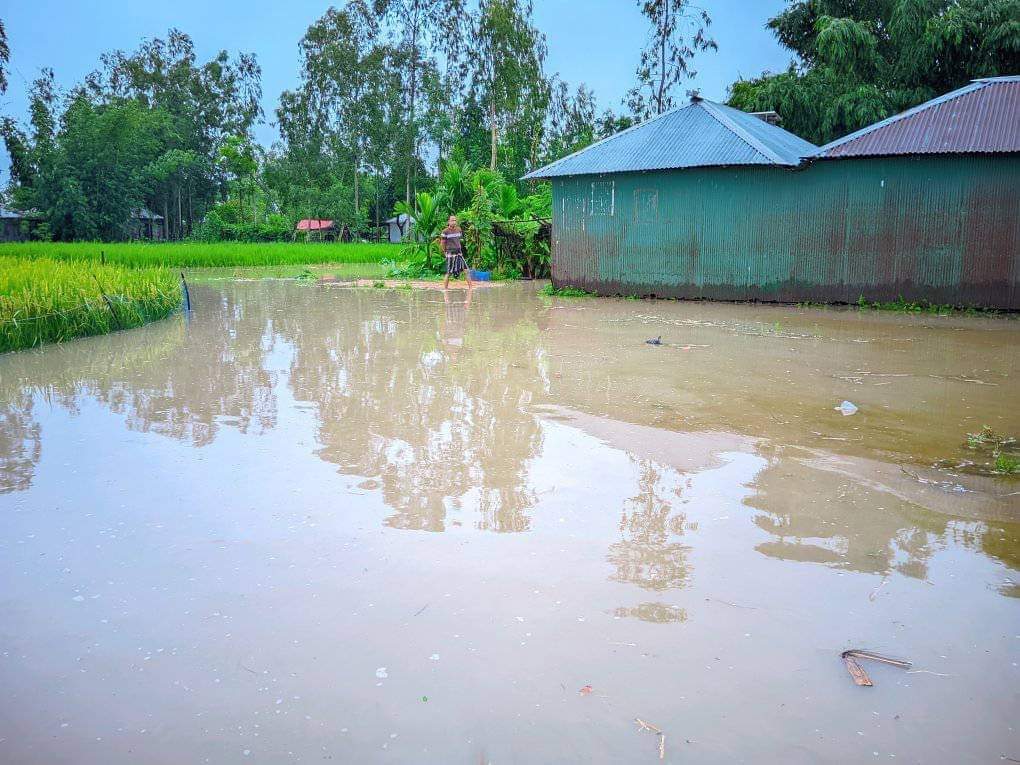 হু হু করে বাড়ছে পানি লালমনিরহাটে তিস্তায় বড় ধরনের বন্যার আশংকা 